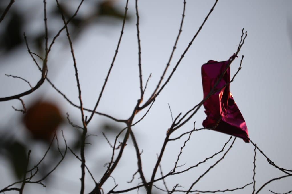 The kite is trapped in a tree branch.