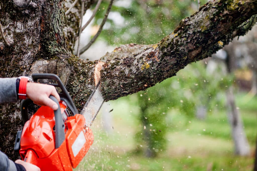man cutting trees using chainsaw