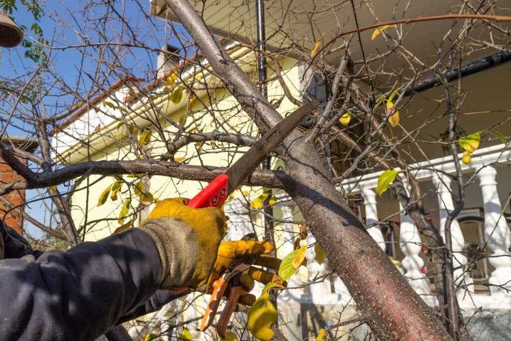 Worker trimming branches with saw